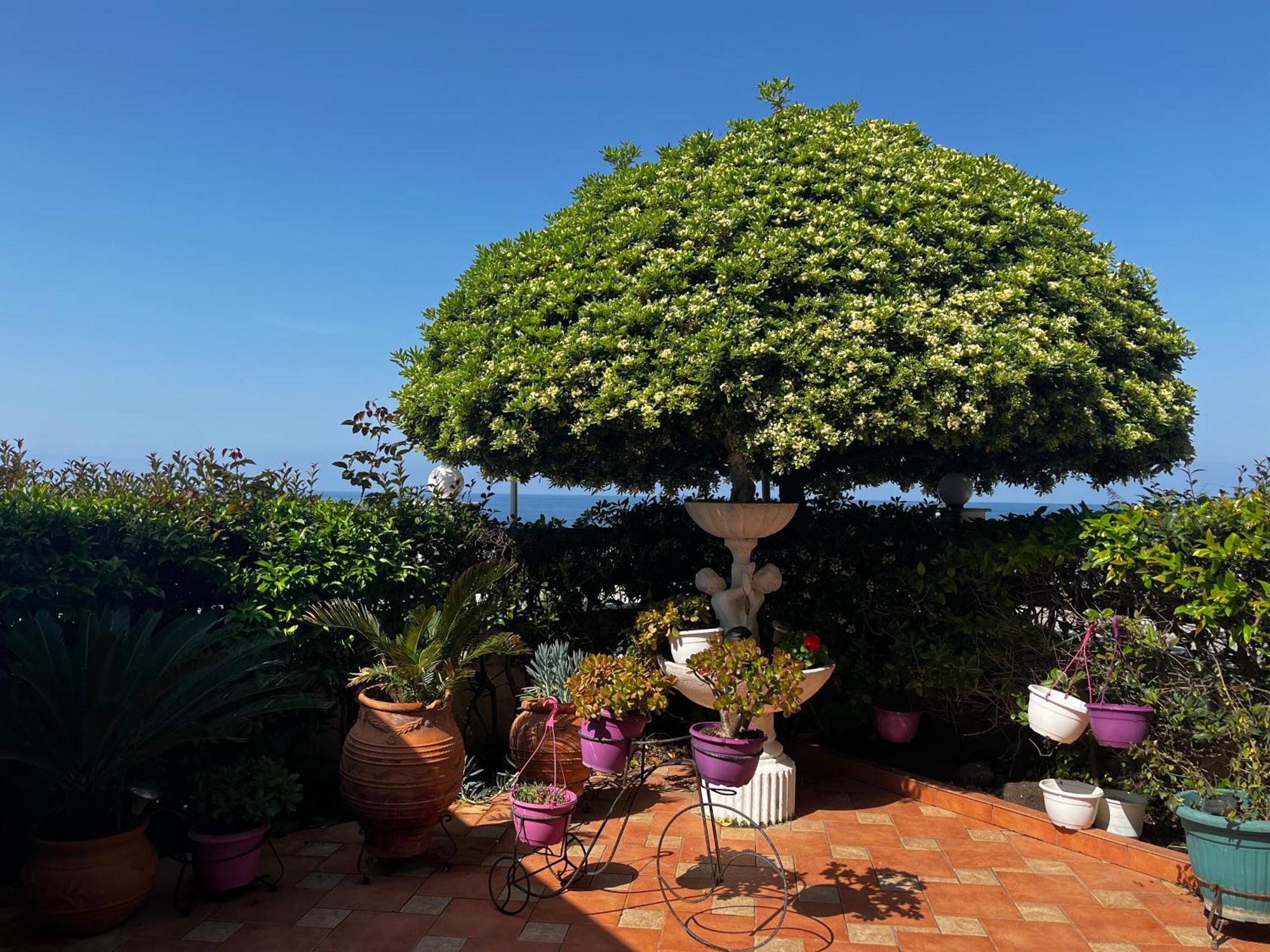 Apartment Family Sea & Garden View *